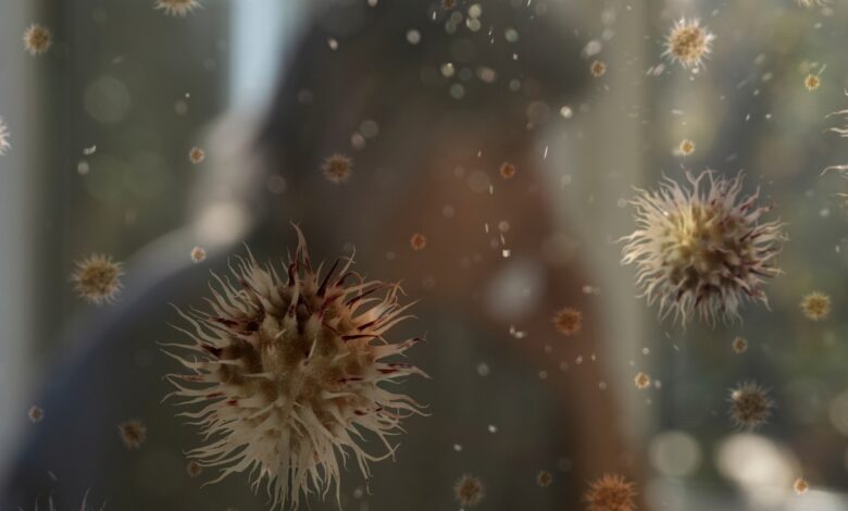 Telangana: Experts warn of pollen allergies due to tree felling