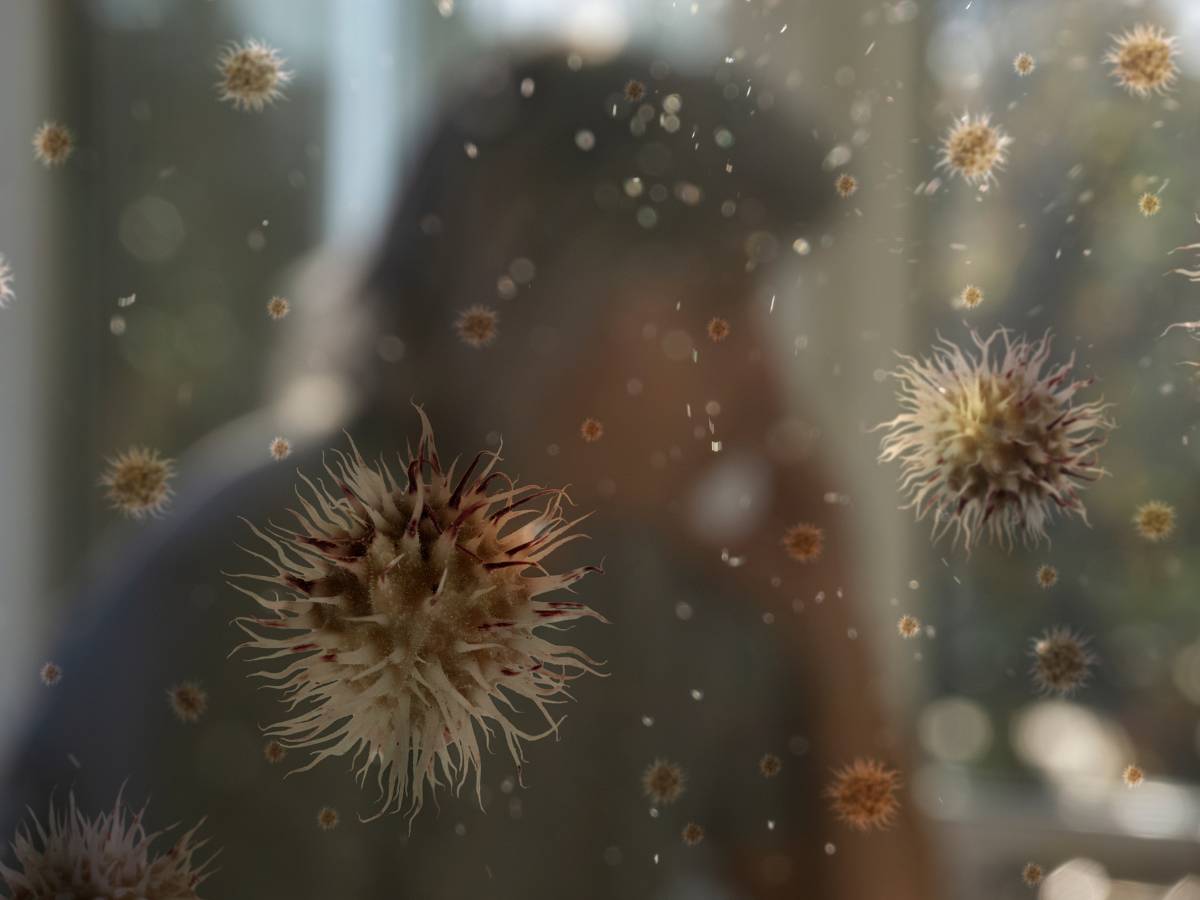 Telangana: Experts warn of pollen allergies due to tree felling