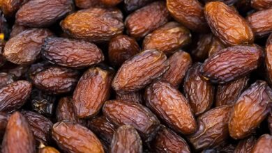 Saudi Arabia's exports of date increase by 14% in 2023