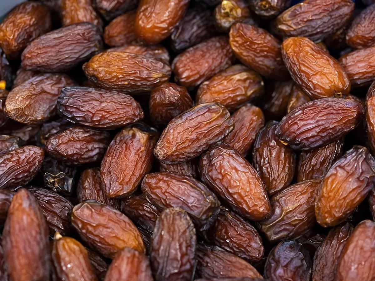 Saudi Arabia's exports of date increase by 14% in 2023