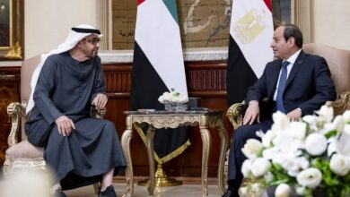 UAE, Egypt Presidents discuss bilateral relations, regional developments