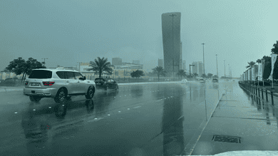 UAE weather: Private sector firms told to allow remote work