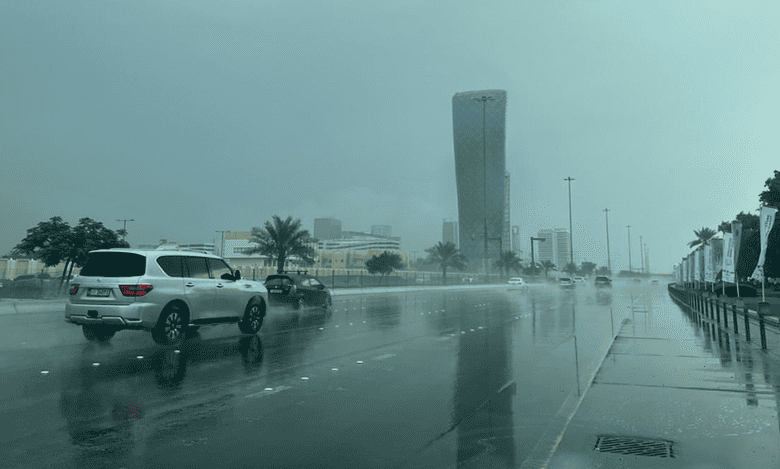 UAE weather: Private sector firms told to allow remote work