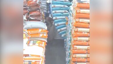 Video: Cleaner gets trapped in between sacks of grain in Mumbai