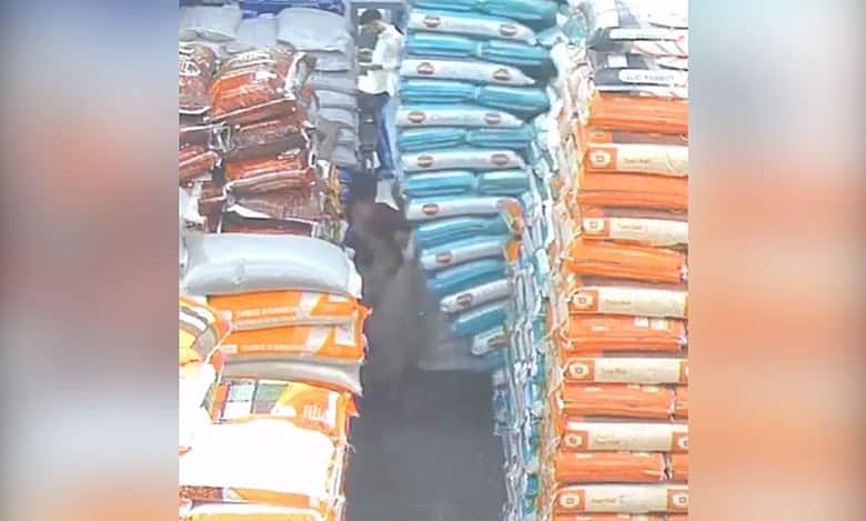 Video: Cleaner gets trapped in between sacks of grain in Mumbai
