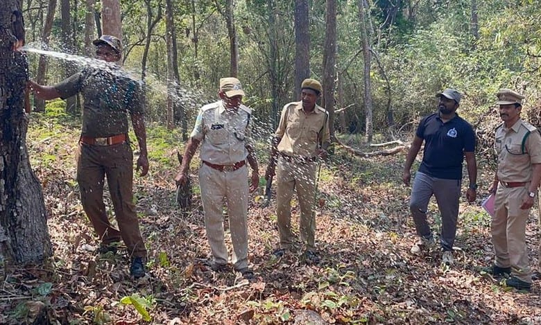 Watch: Tribal group helps AP forest department to find water in trees