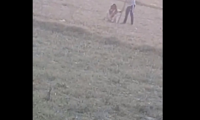 UP: Elderly Dalit assaulted after goat strays into man's field