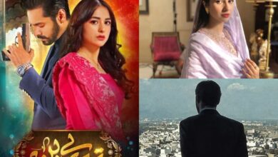 Tere Bin 2: Haya OUT, meet new villain of Wahaj, Yumna's show