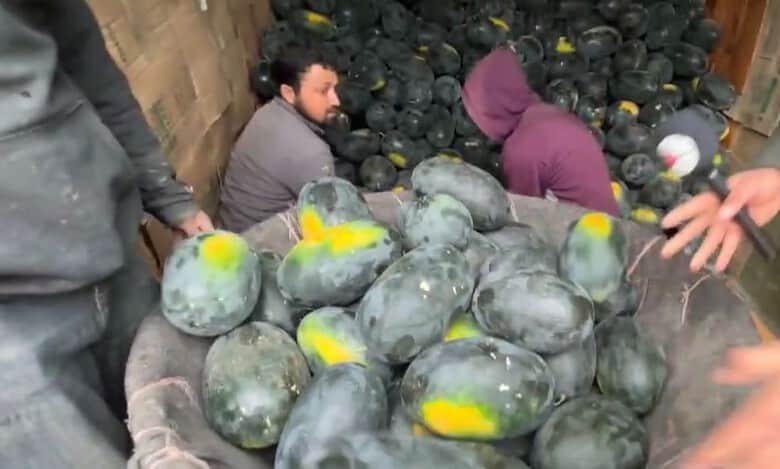 Whether or not to eat watermelon, asks Kashmir this Ramzan