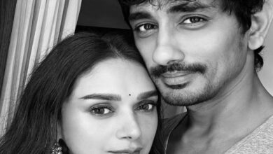 Aditi Rao Hydari's b'day wish for 'manicorn' Siddharth