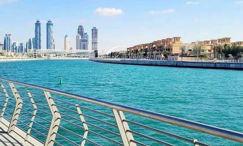 Dead fish spotted in Dubai water channels, municipality clarifies