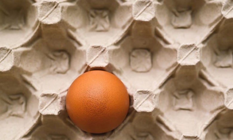Donated by widow, egg fetches over Rs 2L for masjid construction
