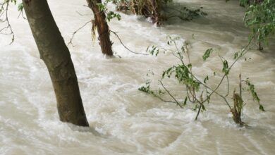 71 killed, 67 injured in rain-related accidents in Pakistan