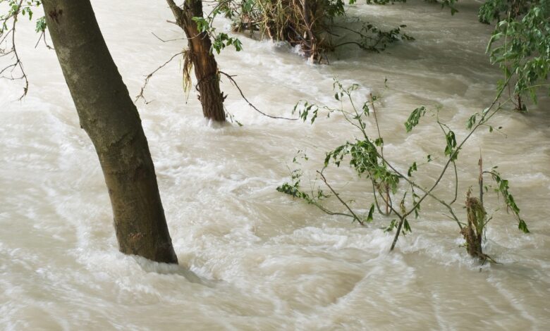 71 killed, 67 injured in rain-related accidents in Pakistan