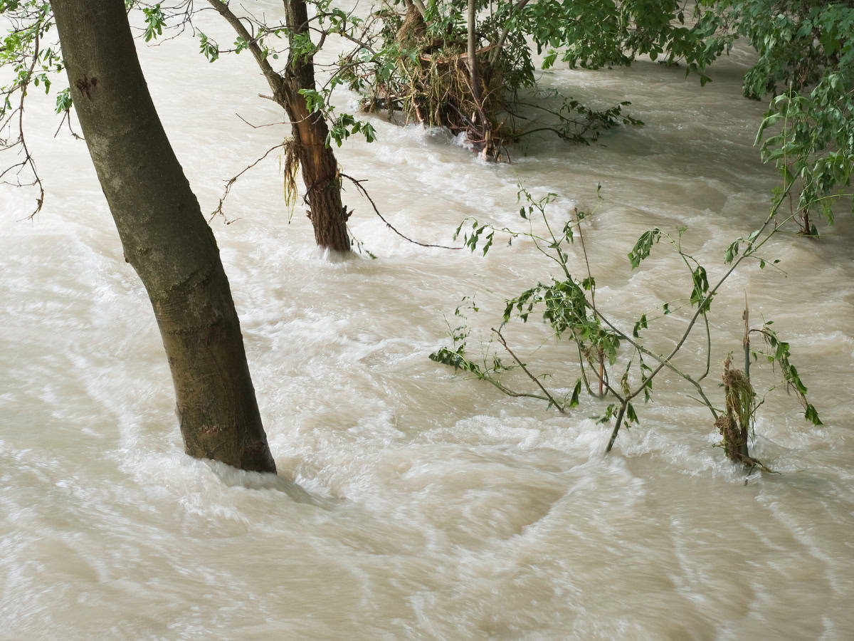 71 killed, 67 injured in rain-related accidents in Pakistan