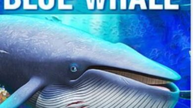 Indian student's death in US possibly linked to Blue Whale suicide game- IANS