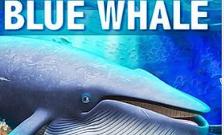 Indian student's death in US possibly linked to Blue Whale suicide game- IANS