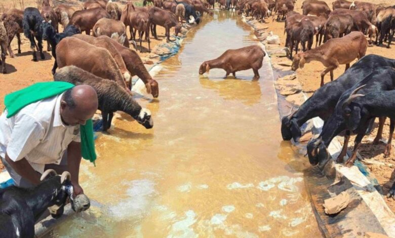 Stretching 30 feet in length and 5 feet in width, this canal, nestled within his farmland, serves as a lifeline for the thirsty souls traversing the arid terrain.