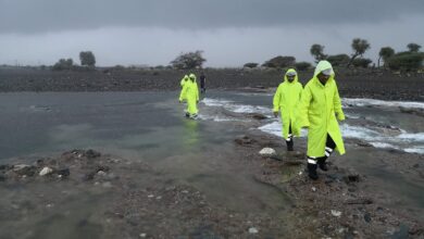 At least 15 killed as heavy rains lash Oman