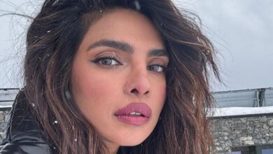 Priyanka Chopra shares dreamy pictures from Swiss Alps