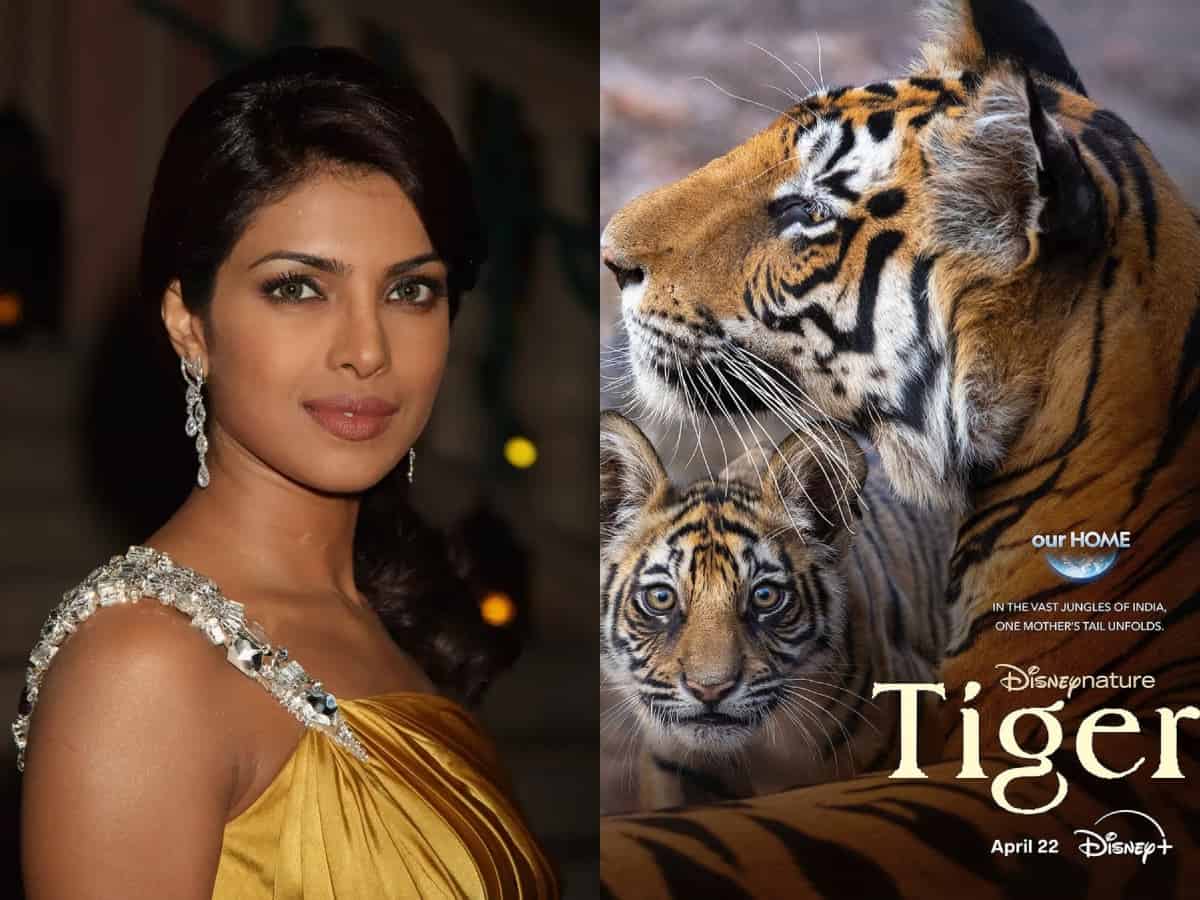 Priyanka Chopra lends voice for new film 'Tiger', announces release date