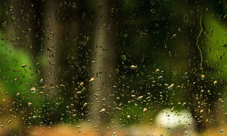 Light rains hit city on Sat, IMD Hyderabad predicts dry weather ahead