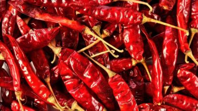 Farmers of Karnataka moving to Andhra for storing chillies