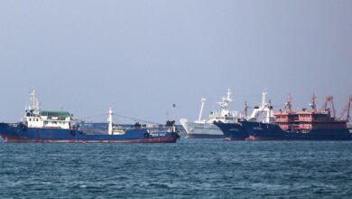 Iran bans zionist regime-linked vessels
