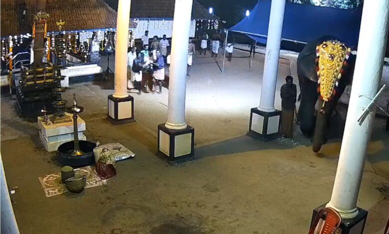 Video: 26-year-old mahout crushed by elephant in Kerala; dies later