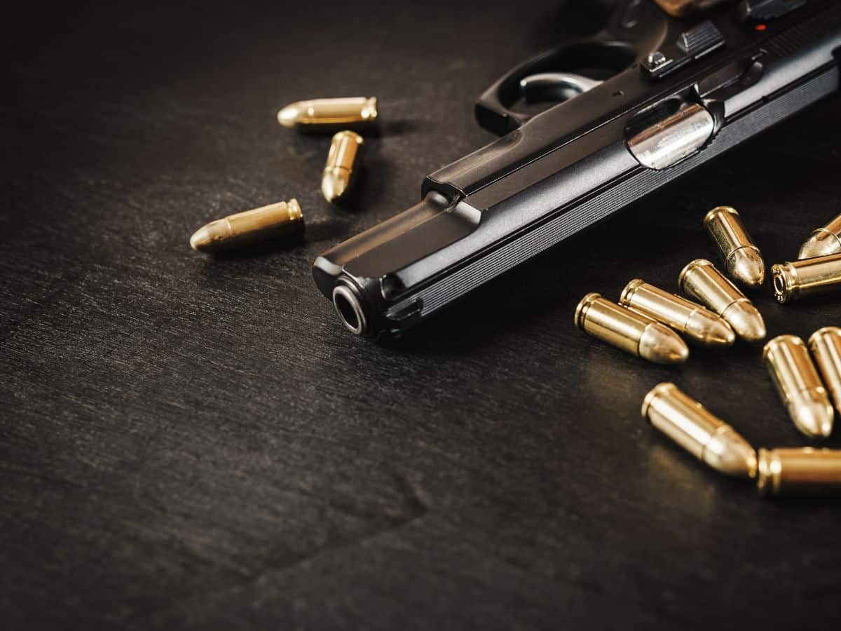Man, suspected of cow smuggling, shot dead by Rajasthan cops amid chase