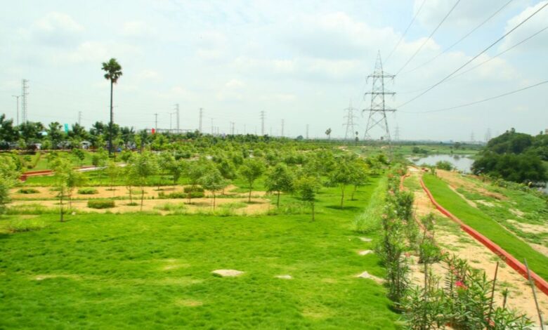Hyderabad: Musi Riverfront draft master plan to be ready by August
