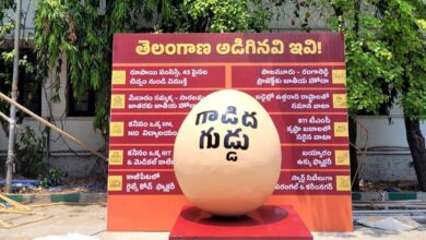 A giant model of an egg was erected on a platform on which the picture of a joyful-looking donkey was seen saying “This is what BJP has given.”