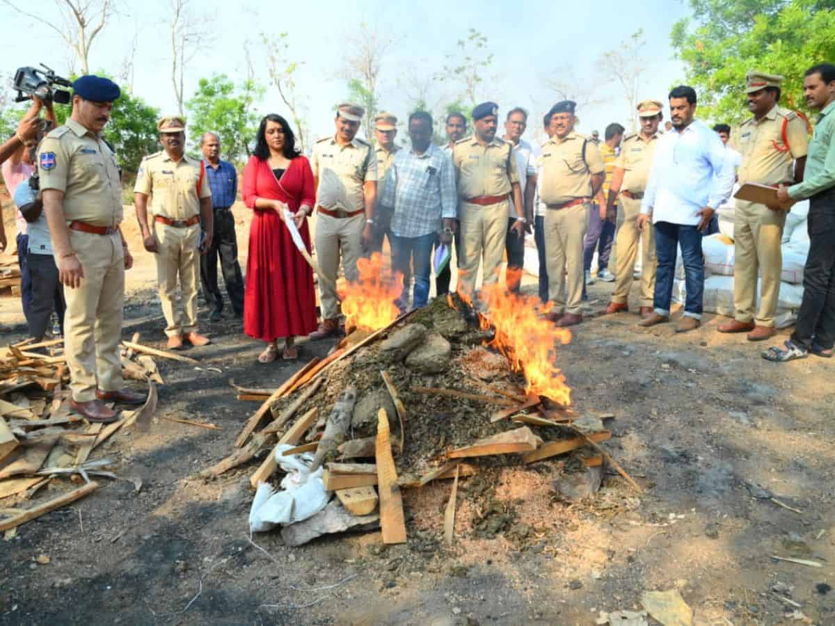 Hyderabad: Police sets 2043 kg ganja worth Rs 5.1 crore on fire