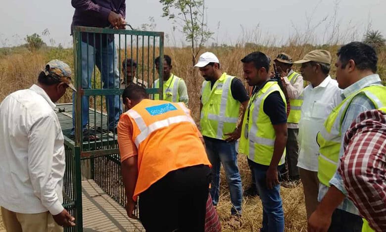Hyderabad: Leopard spotted near RGI Airport at Shamshabad