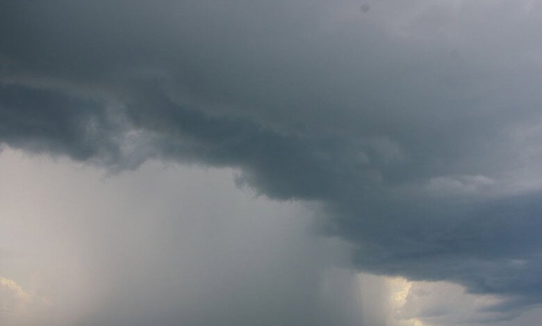 Rains with thunderstorms and strong winds lashed several parts of Siddipet, Nizamabad, Kamareddy, and Sangareddy districts; rendering the paddy brought by the farmers to paddy procurement centers (PPC) wet.