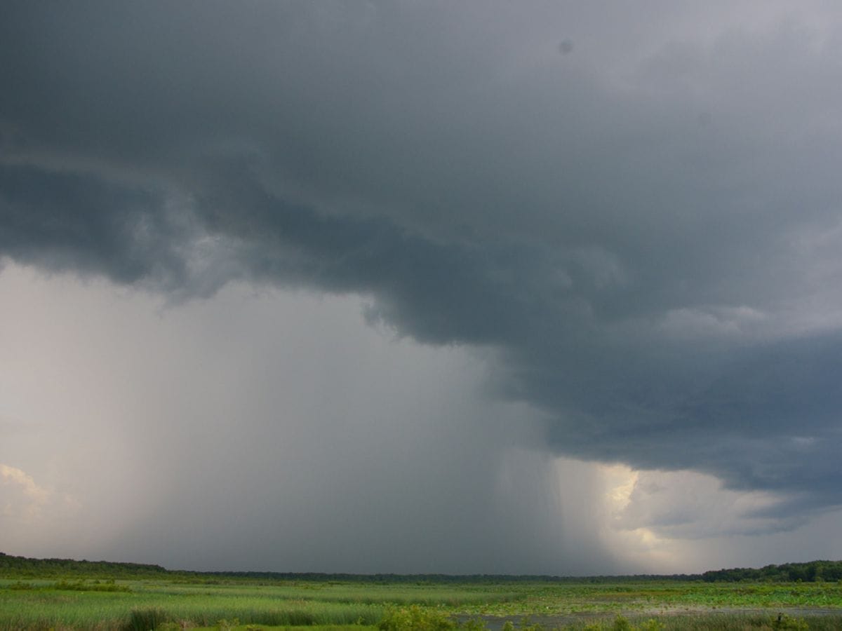 Rains with thunderstorms and strong winds lashed several parts of Siddipet, Nizamabad, Kamareddy, and Sangareddy districts; rendering the paddy brought by the farmers to paddy procurement centers (PPC) wet.