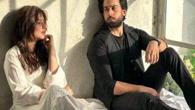 Ishq Murshid last episode: Shibra and Shahmeer to get divorced?