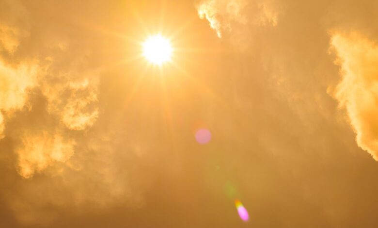 Avoid outdoors from 12-3 pm : Telangana DPH
