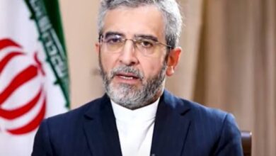 Ali Bagheri Kani appointed as Iran's caretaker FM after Amir-Abdollahian's death