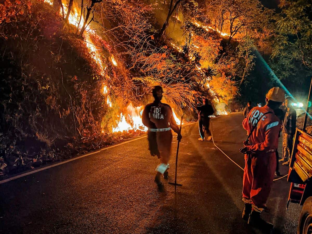 Forest department personnel try to control a fire