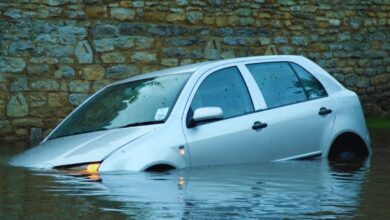 Google Maps drives tourists from Hyderabad into pond in Kerala