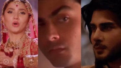 Fan recreates Heeramandi with Mahira Khan, Fawad and Imran Star, video viral