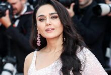 Preity Zinta adds desi touch to Cannes red carpet in pink saree