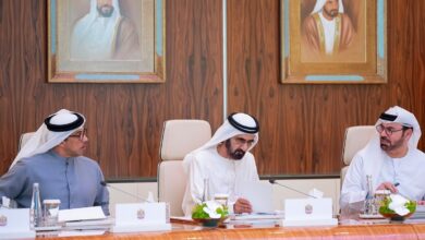 UAE announces 10-year Blue Residency visa: All you need to know