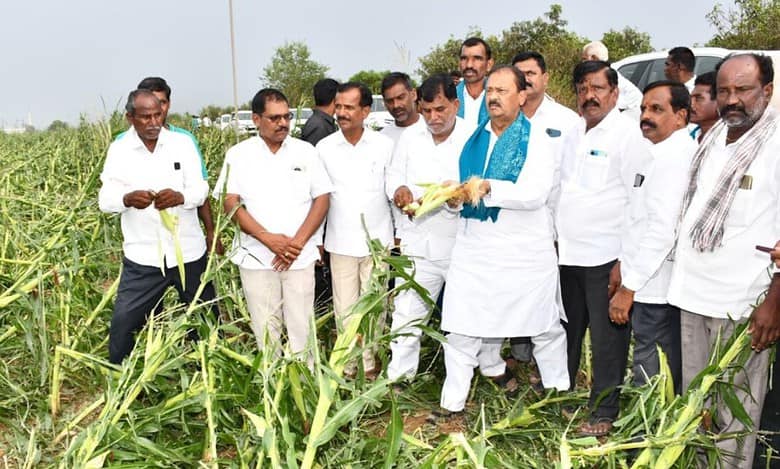The government is extending an input subsidy of Rs 10,000 per acre, to cover a total of 15,814.03 acres in which crops were damaged, from its state disaster response fund (SDRF).