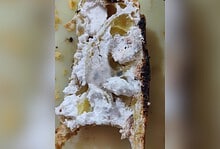 Hyderabad: Woman finds fungus in pastry at popular food joint
