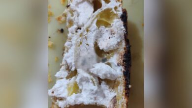 Hyderabad: Woman finds fungus in pastry at popular food joint
