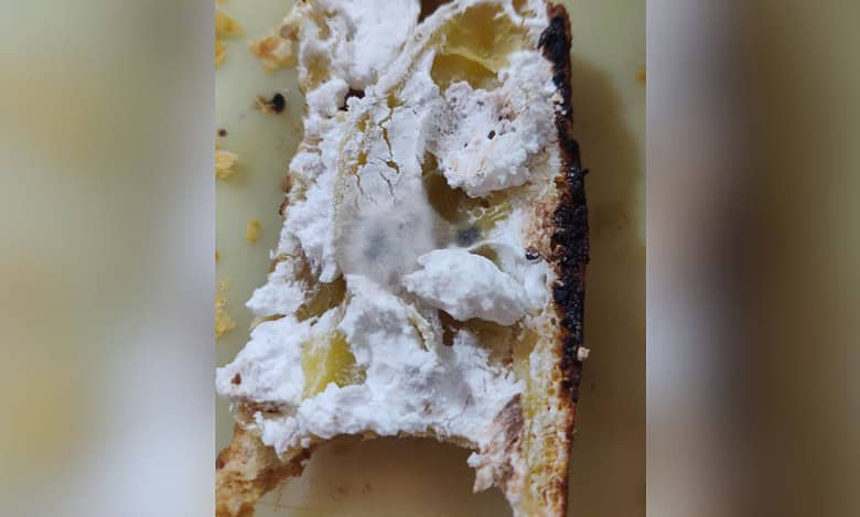 Hyderabad: Woman finds fungus in pastry at popular food joint