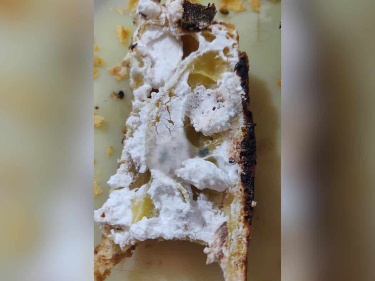 Hyderabad: Woman finds fungus in pastry at popular food joint
