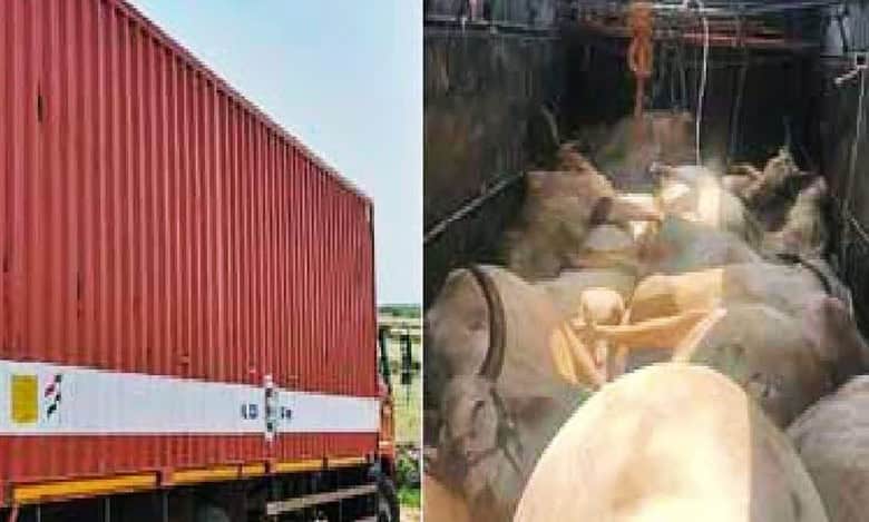 Four persons from Tamil Nadu were arrested for the death of 16 bulls while they were transporting them from Suryapet towards AP.